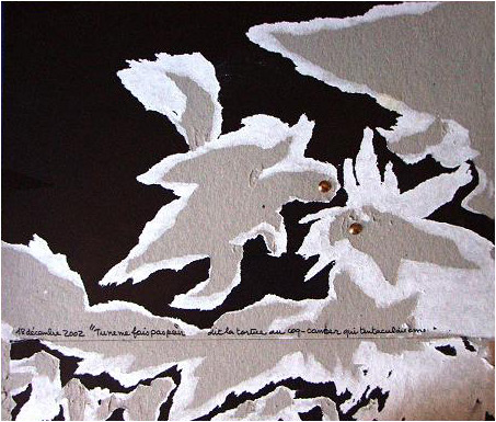 Travail sur le carton - Jane Rosinski