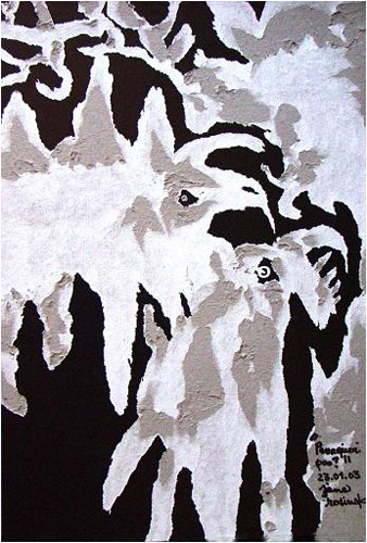Travail sur le carton - Jane Rosinski